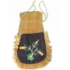 Image 3 : Cree Beaded Bag