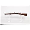 Image 2 : Waffenfabric Bern 78 Rifle 1917 JMD-11579