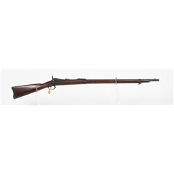 Springfield 1884 Rifle 1884 JMD-10094