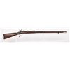 Image 1 : US Springfield 1873 Rifle 1873 JMD-10394