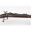 Image 2 : US Springfield 1873 Rifle 1873 JMD-10394
