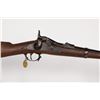 Image 2 : US Springfield 1873 Rifle 1873 JMD-10396
