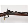 Image 2 : US Springfield 1873 Rifle 1873 JMD-10398