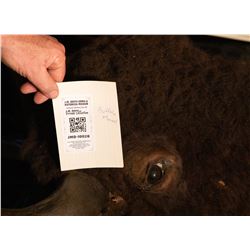 Antique Buffalo Mount JMD-10028