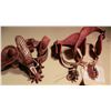 Image 1 : Spurs by Crockett (2) JMD-15071