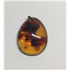 Image 1 : Amber Pendant