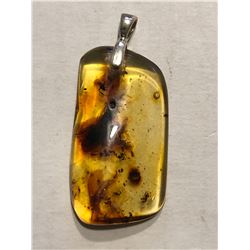 Beautiful Amber Sterling Silver Pendant Filled with Large Insects 4 Grams in Weight