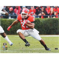 Nick Chubb Signed Georgia Bulldogs 16x20 Photo (Radtke COA)