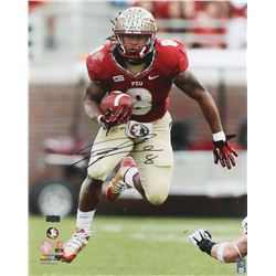 Devonta Freeman Signed Florida State Seminoles 16x20 Photo (Radtke COA)