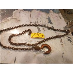 Chain with hook