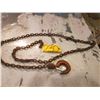 Image 1 : Chain with hook