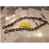Image 1 : Chain
