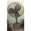 Image 1 : Fan 34"