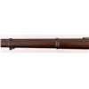 Image 5 : Winchester 1866 .44 Rimfire Musket