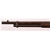Image 6 : Winchester 1866 .44 Rimfire Musket