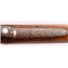 Image 8 : Colt Lightning 40-60-260 Slide Action Rifle