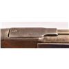 Image 11 : Cased Presentation Winchester 1873 Target Rifle