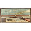 Image 1 : Cased Presentation Winchester 1873 Target Rifle