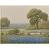 Image 2 : Don Warren "Spring Rain Near Austin" Oil Painting