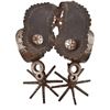Image 1 : Mexican Chihuahuan Spurs