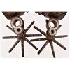 Image 3 : Mexican Chihuahuan Spurs