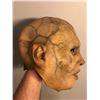 Image 2 : The Strain - Strigoi creature head (0274)