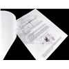 Image 2 : Kin - Ballistics Report (0232)