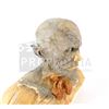 Image 2 : The Strain - Ancient One's Head Prosthetic and Mask Display