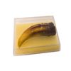 Image 2 : GODZILLA ‘98 PROP CLAW HMV Store Exclusive