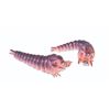 Image 1 : MOTHRA LARVA Marmit Para-Babies Vinyl Figure Set of 2