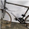 Image 2 : GREY ASAMA BIKE