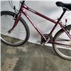 Image 2 : BURGUNDY NASHIKI BIKE