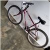 Image 3 : BURGUNDY NASHIKI BIKE