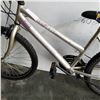 Image 2 : GREY SUPER CYCLE BIKE