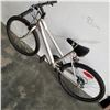 Image 3 : GREY SUPER CYCLE BIKE
