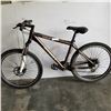 Image 1 : BROWN IRON HORSE BIKE W/ DISC BRAKES