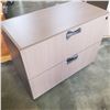 Image 1 : TEKNION 2 DRAWER FILING CABINET
