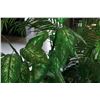 Image 8 : LOT OF 6 ARTIFICIAL PLANTS