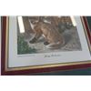 Image 2 : YOUNG FREE BOOTERS FOX CUB PRINT BY OLD WORLD PRINTS PROFESSIONALLY FRAMED