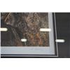 Image 2 : SKYLINED COUGAR BY A CASEY LIMITED EDITION PRINT 23973