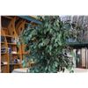 Image 2 : 7FT ARTIFICIAL TREE W/ POT