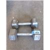 Image 1 : Pair of 15 Pound Dumb Bell Weights