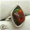 Image 2 : SILVER NATURAL CANADIAN AMMOLITE RING