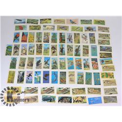 VINTAGE LOT OF BROOK BOND TEA COLLECTOR CARDS