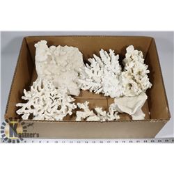 BIN OF REAL BLEACHED CORAL.