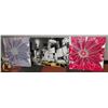 Image 1 : LOT OF 3 LARGE PICTURES
