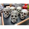 Image 1 : 5 Movie Prop Skulls