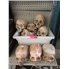 Image 1 : Tote of Assorted Movie Prop Skull & Jawbones