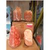 Image 1 : 10 New Himalayan Salt Lamp Shades