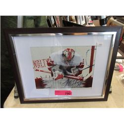 Autographed Detroit Red Wings Photo